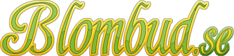 Blombud.se