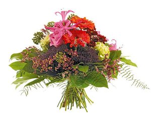 blomsprket